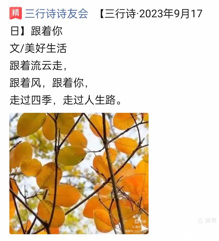 加精三行诗 二十八首 秋天温柔的想念